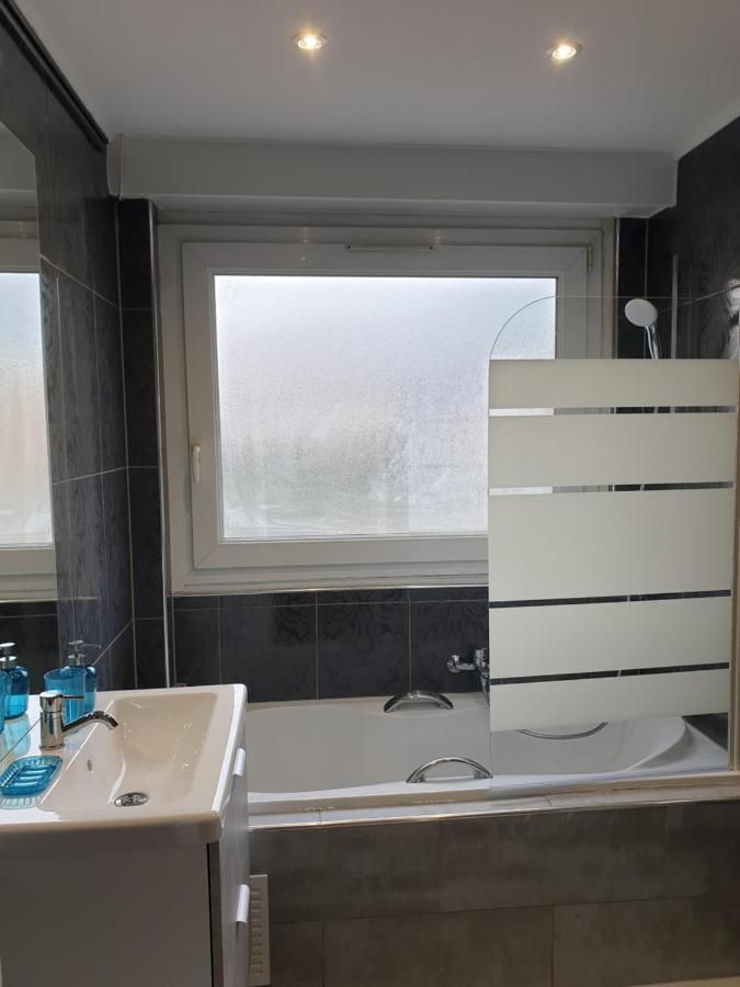 Appartement La Roseraie Proche Centre/Gare Мец Экстерьер фото