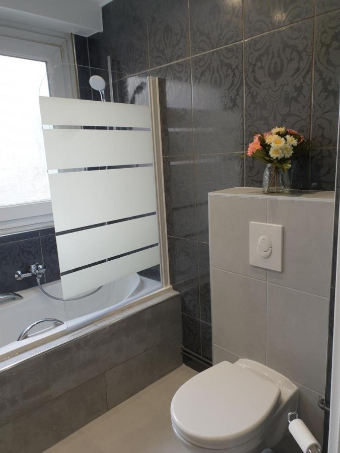 Appartement La Roseraie Proche Centre/Gare Мец Экстерьер фото